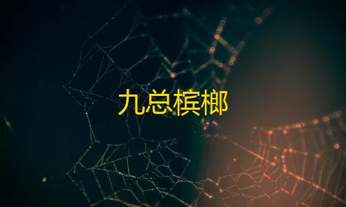 暗区突围透视脚本九总槟榔